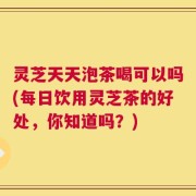 灵芝天天泡茶喝可以吗(每日饮用灵芝茶的好处，你知道吗？)