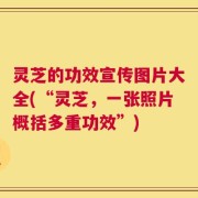 灵芝的功效宣传图片大全(“灵芝，一张照片概括多重功效”)