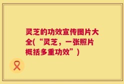 灵芝的功效宣传图片大全(“灵芝，一张照片概括多重功效”)