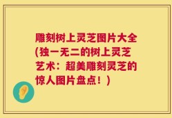 雕刻树上灵芝图片大全(独一无二的树上灵芝艺术：超美雕刻灵芝的惊人图片盘点！)