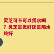 灵芝可不可以煲水喝 ？灵芝是煲好还是隔水炖好
