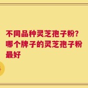 不同品种灵芝孢子粉？哪个牌子的灵芝孢子粉最好