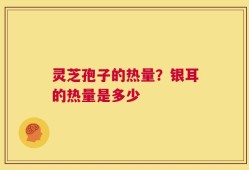 灵芝孢子的热量？银耳的热量是多少