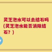 灵芝泡水可以去结石吗(灵芝泡水能否消除结石？)