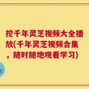 挖千年灵芝视频大全播放(千年灵芝视频合集，随时随地观看学习)