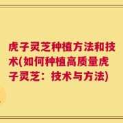 虎子灵芝种植方法和技术(如何种植高质量虎子灵芝：技术与方法)