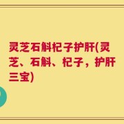 灵芝石斛杞子护肝(灵芝、石斛、杞子，护肝三宝)