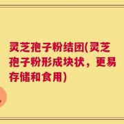 灵芝孢子粉结团(灵芝孢子粉形成块状，更易存储和食用)