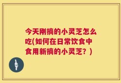 今天刚摘的小灵芝怎么吃(如何在日常饮食中食用新摘的小灵芝？)