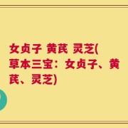 女贞子 黄芪 灵芝(草本三宝：女贞子、黄芪、灵芝)