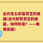 古代怎么形容灵芝的美丽(古代称赞灵芝的美丽，如何形容？——唯美佳丽)