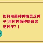 如何用菌种种植灵芝种子(用何种菌种培育灵芝种子？)