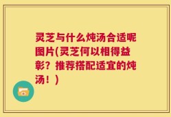 灵芝与什么炖汤合适呢图片(灵芝何以相得益彰？推荐搭配适宜的炖汤！)