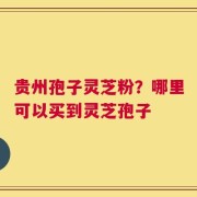 贵州孢子灵芝粉？哪里可以买到灵芝孢子