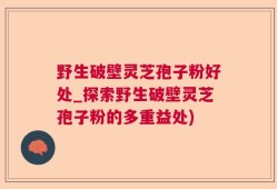 野生破壁灵芝孢子粉好处_探索野生破壁灵芝孢子粉的多重益处)