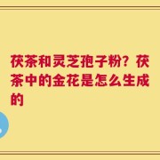 茯茶和灵芝孢子粉？茯茶中的金花是怎么生成的