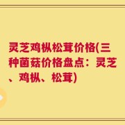 灵芝鸡枞松茸价格(三种菌菇价格盘点：灵芝、鸡枞、松茸)
