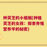 种灵芝的小姐姐(种植灵芝的女孩：探索养殖营养学的秘密)