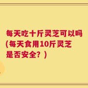 每天吃十斤灵芝可以吗(每天食用10斤灵芝是否安全？)