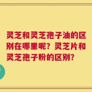 灵芝和灵芝孢子油的区别在哪里呢？灵芝片和灵芝孢子粉的区别？