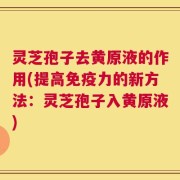 灵芝孢子去黄原液的作用(提高免疫力的新方法：灵芝孢子入黄原液)