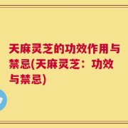 天麻灵芝的功效作用与禁忌(天麻灵芝：功效与禁忌)