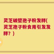 灵芝破壁孢子粉发胖(灵芝孢子粉食用引发发胖？)