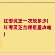 红枣灵芝一次放多少(红枣灵芝合理用量攻略)
