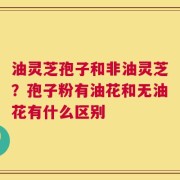 油灵芝孢子和非油灵芝？孢子粉有油花和无油花有什么区别