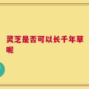 灵芝是否可以长千年草呢
