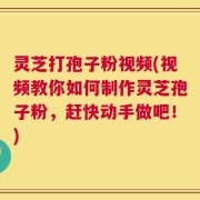 灵芝打孢子粉视频(视频教你如何制作灵芝孢子粉，赶快动手做吧！)