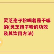 灵芝孢子粉喝着是干嘛的(灵芝孢子粉的功效及其饮用方法)