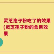 灵芝孢子粉吃了的效果(灵芝孢子粉的食用效果
