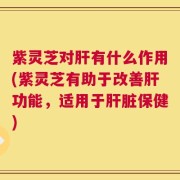 紫灵芝对肝有什么作用(紫灵芝有助于改善肝功能，适用于肝脏保健)