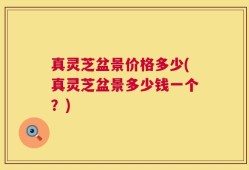 真灵芝盆景价格多少(真灵芝盆景多少钱一个？)
