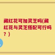 藏红花可加灵芝吗(藏红花与灵芝搭配可行吗？)