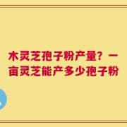 木灵芝孢子粉产量？一亩灵芝能产多少孢子粉
