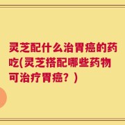灵芝配什么治胃癌的药吃(灵芝搭配哪些药物可治疗胃癌？)