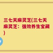 三七天麻灵芝(三七天麻灵芝：强效养生宝藏)