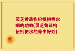灵芝黄芪枸杞枇杷煮水喝的功效(灵芝黄芪枸杞枇杷水的养生好处)