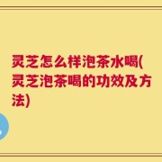 灵芝怎么样泡茶水喝(灵芝泡茶喝的功效及方法)