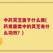 中药灵芝属于什么类(药用菌类中的灵芝有什么功效？)