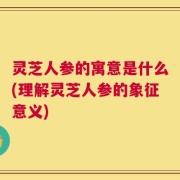 灵芝人参的寓意是什么(理解灵芝人参的象征意义)