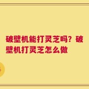 破壁机能打灵芝吗？破壁机打灵芝怎么做