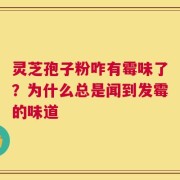 灵芝孢子粉咋有霉味了？为什么总是闻到发霉的味道