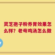 灵芝孢子粉养胃效果怎么样？老母鸡汤怎么做