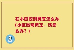在小区挖到灵芝怎么办(小区出现灵芝，该怎么办？)