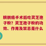 膀胱癌手术后吃灵芝孢子粉？灵芝孢子粉的功效、作用及禁忌是什么