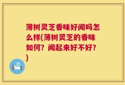 薄树灵芝香味好闻吗怎么样(薄树灵芝的香味如何？闻起来好不好？)