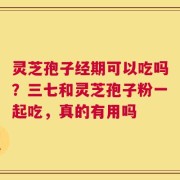 灵芝孢子经期可以吃吗？三七和灵芝孢子粉一起吃，真的有用吗